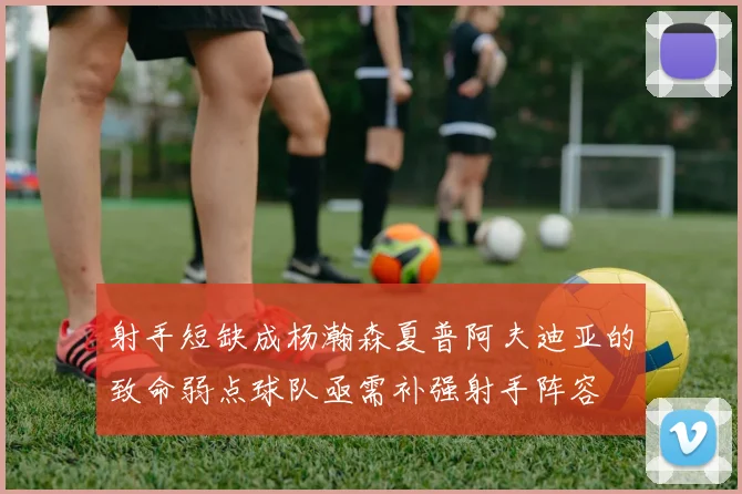 射手短缺成杨瀚森夏普阿夫迪亚的致命弱点球队亟需补强射手阵容