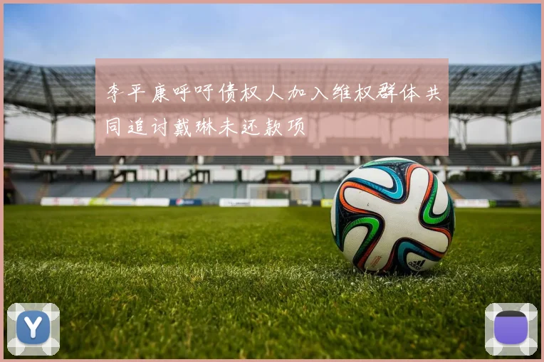 李平康呼吁债权人加入维权群体共同追讨戴琳未还款项